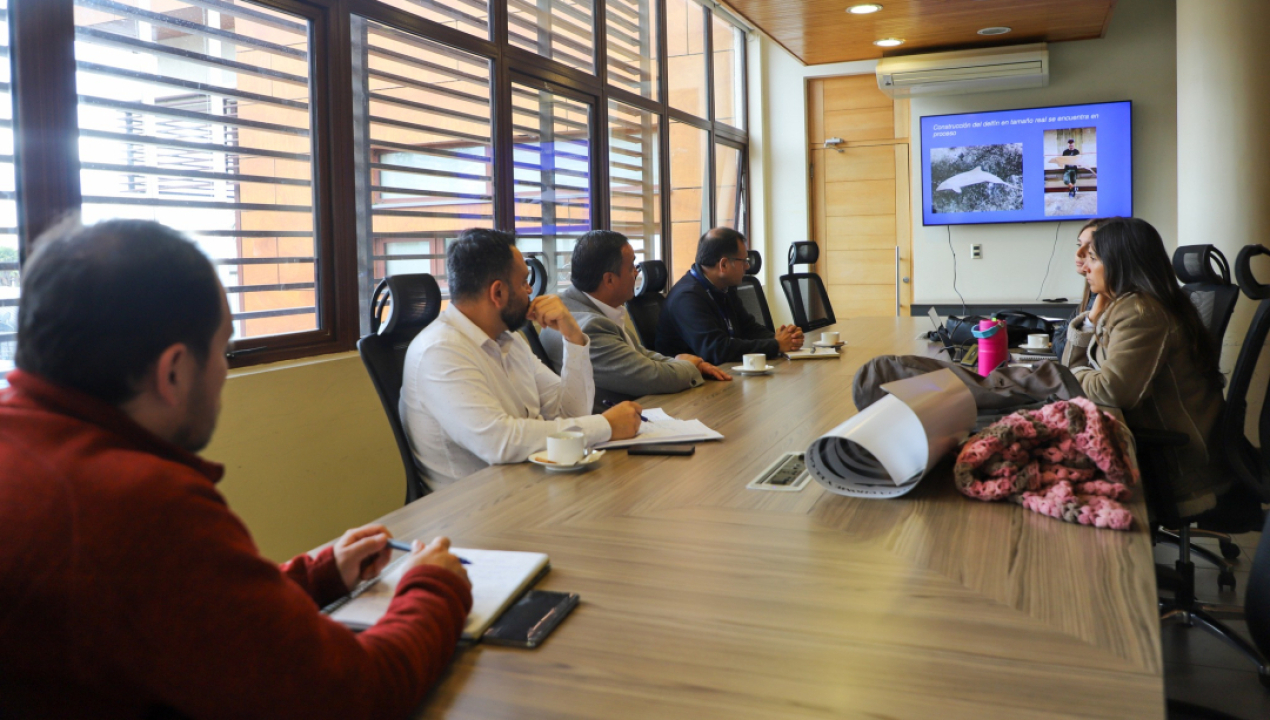 /en-arauco-impulsan-conservacion-y-proteccion-del-delfin-chileno