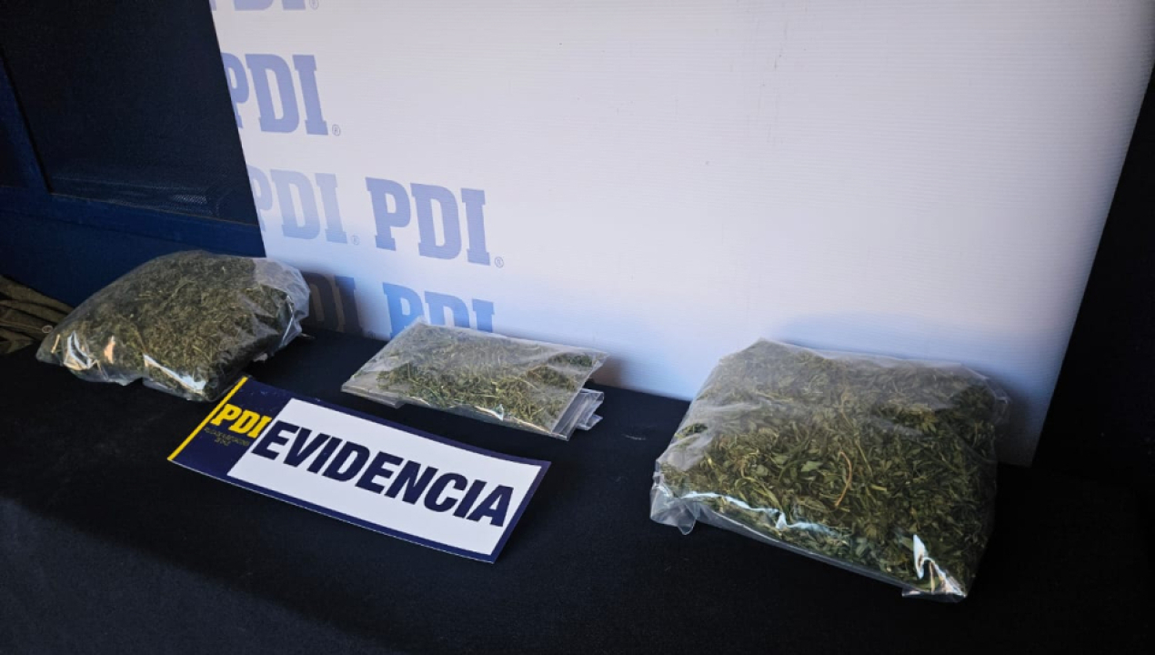 /equipo-mt-0-de-la-pdi-lebu-detiene-a-mujer-por-trafico-en-pequenas