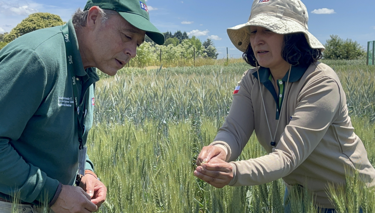 /en-estacion-de-pruebas-sag-human-en-los-angeles-sag-biobio-realiza-cerca