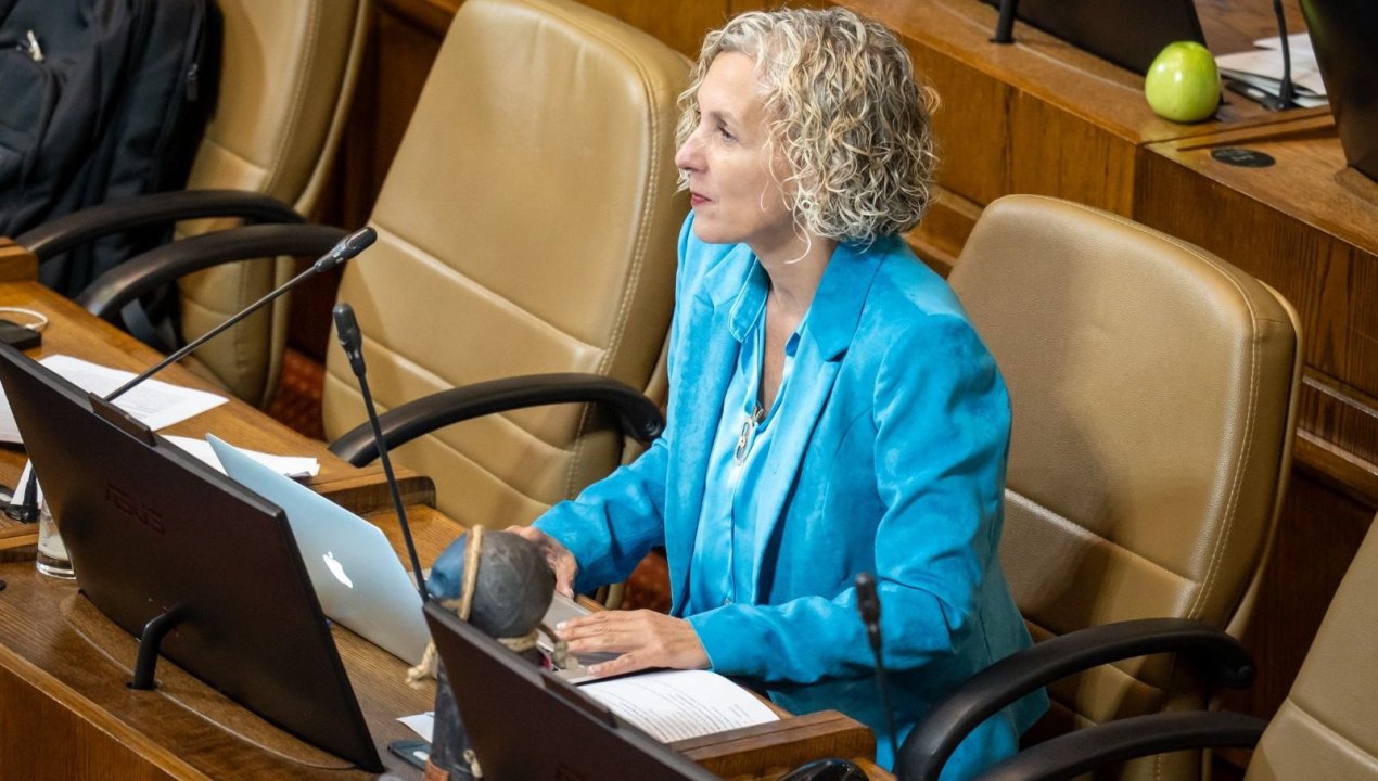 /diputada-castillo-impulsa-penas-mas-duras-por-robo-rural