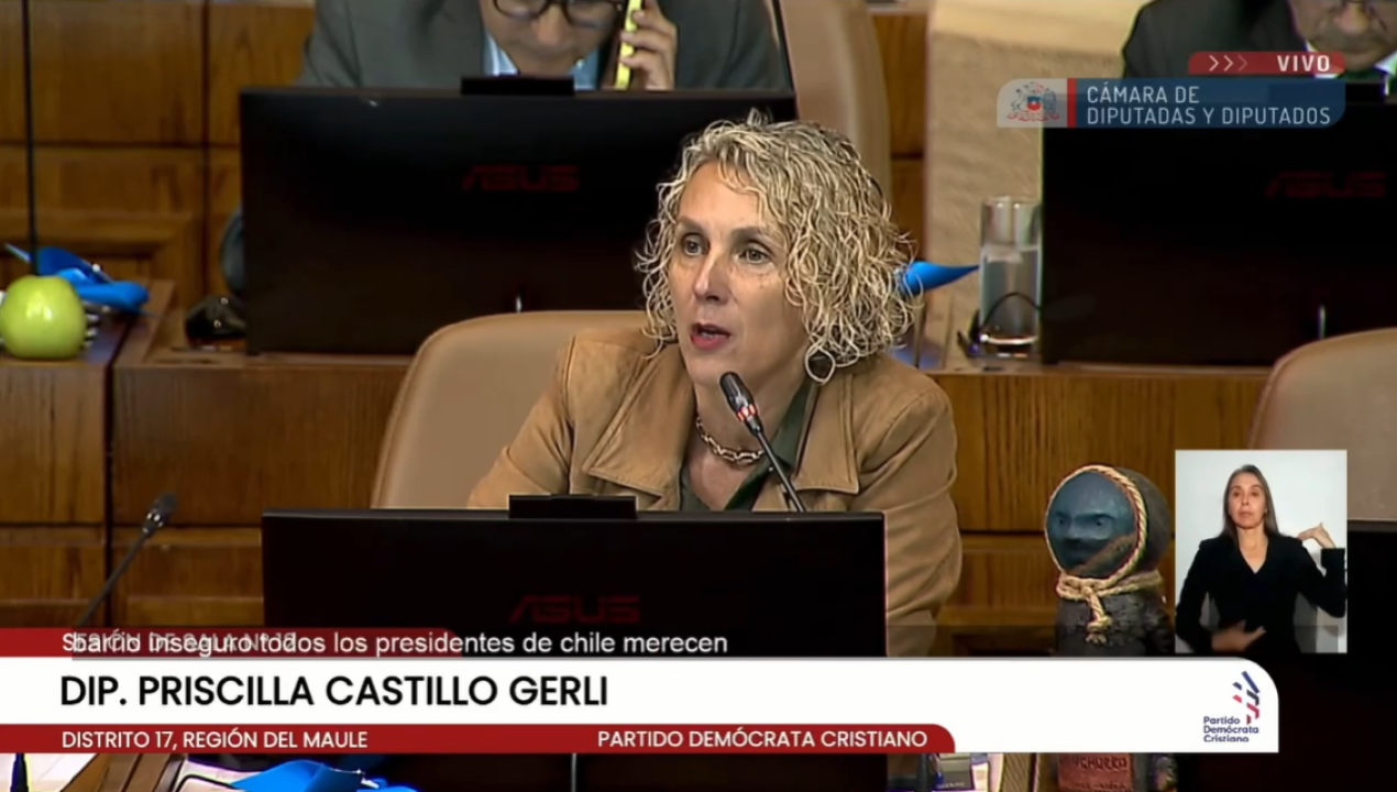 /castillo-llama-a-priorizar-ciudadania-en-debate-politico