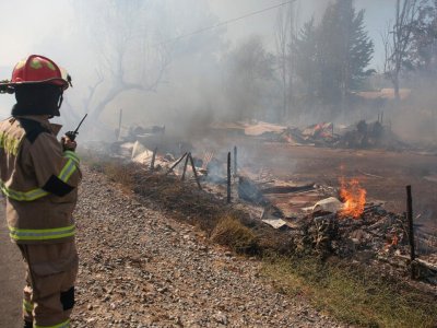 /conaf-mala-mantencion-del-tendido-electrico-entre-las-causas-de-ultimos-incendios-forestales