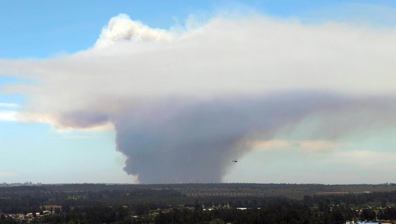 /quinta-region-incendio-consume-santo-domingo