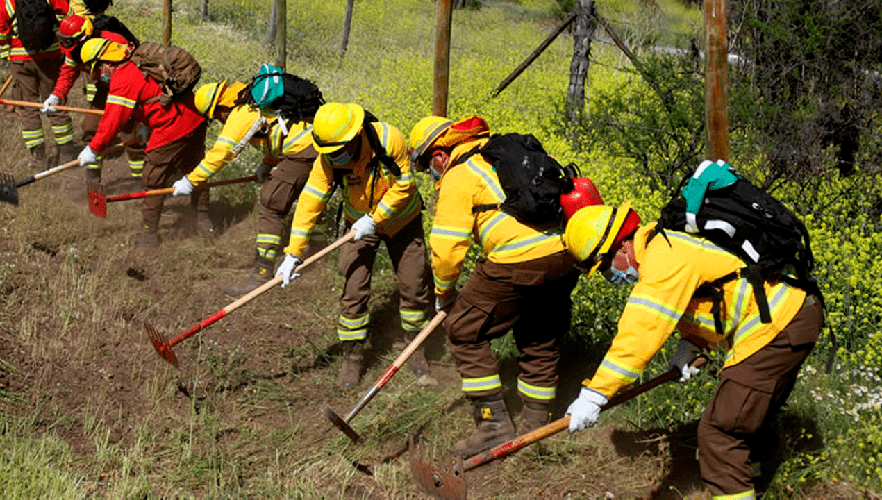 /conaf-region-del-biobio-cuenta-con-mas-de-460-kilometros-de-cortafuegos