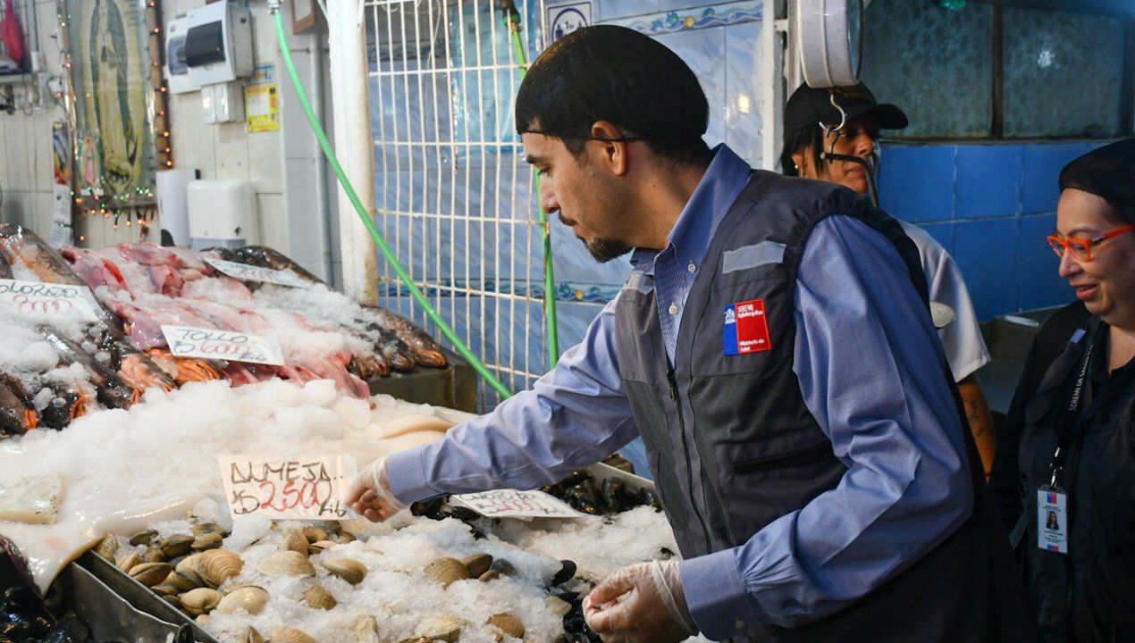 /semana-santa-decomisan-22-toneladas-de-productos-marinos-en-region-de-los-lagos