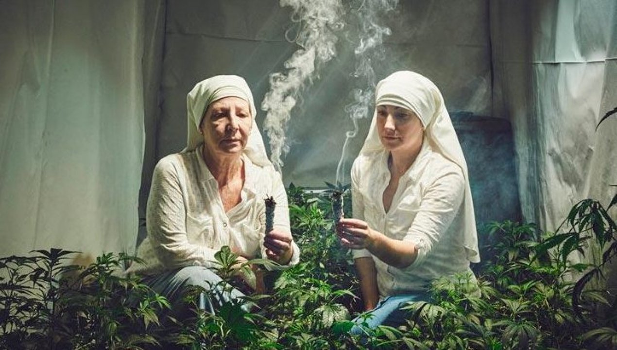 /tendencias/curiosidades/monjas-del-cannabis-quienes-son-y-cual-es-su-proposito