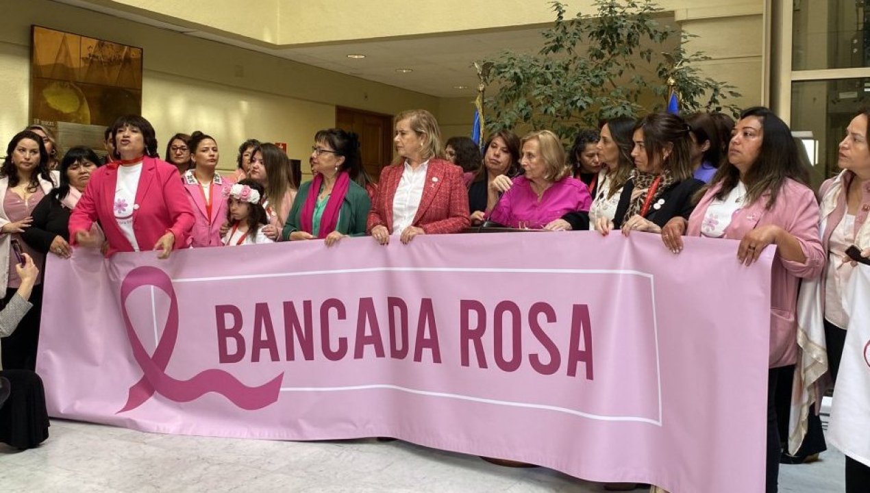 /actualidad/politica/camara-baja/bancada-rosa-diputadas-forman-grupo-para-reducir-brechas-en-torno-al