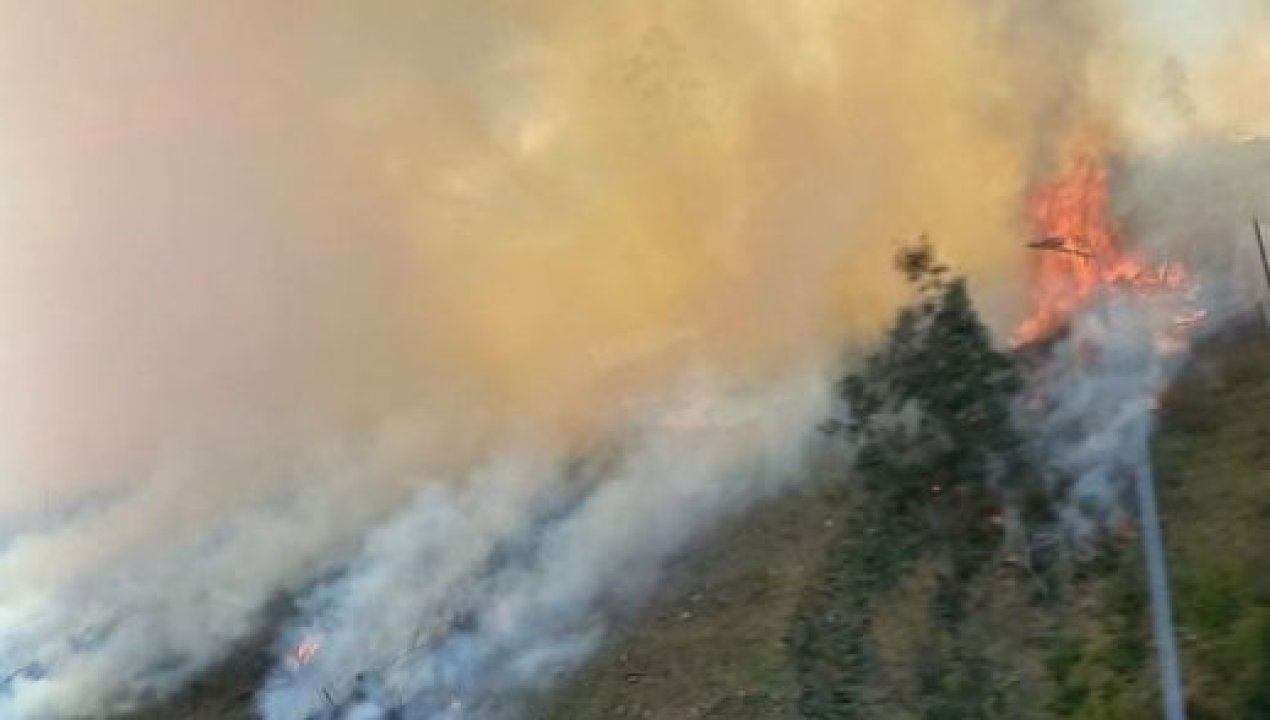 /regionales/region-del-biobio/incendio-arraso-con-5-hectareas-en-ruta-que-une-concepcion-con-cabrero