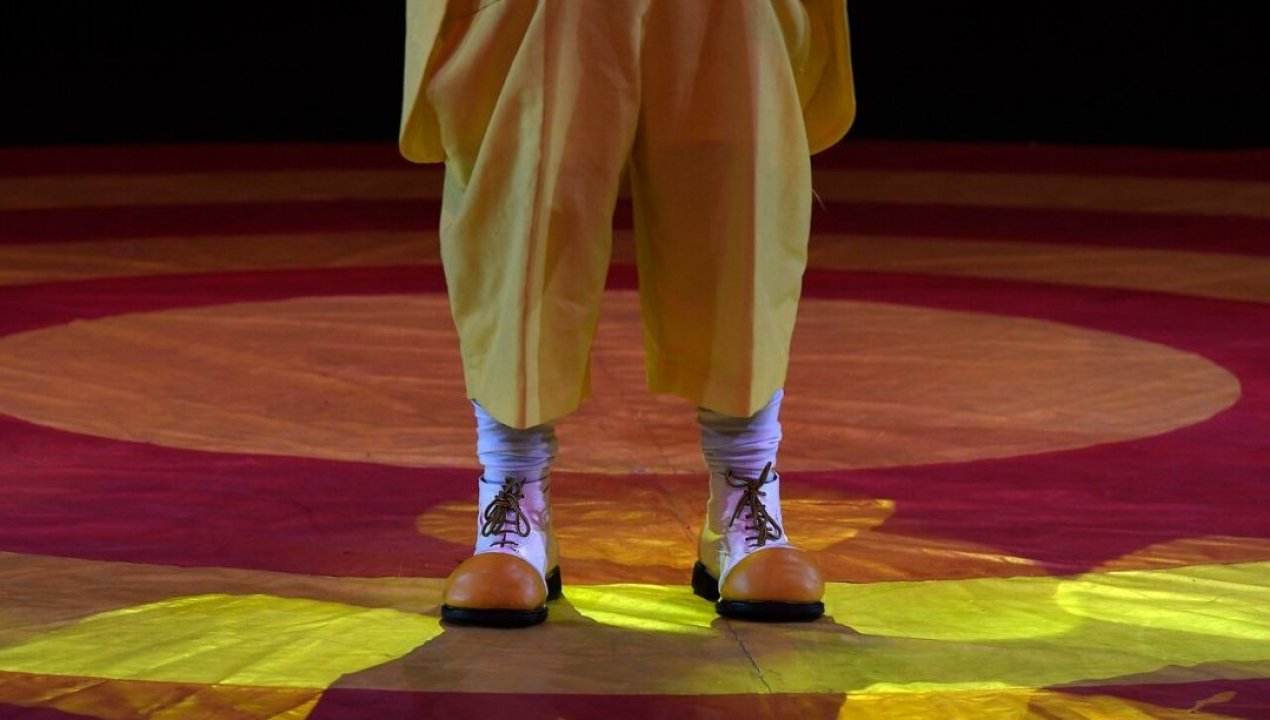 /actualidad/unesco-declara-patrimonio-cultural-inmaterial-de-la-humanidad-al-circo-de