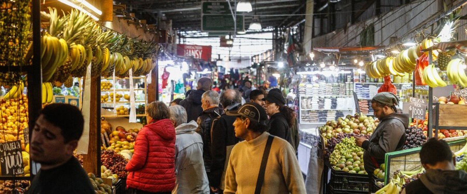 Economía avanza, pero a menor ritmo: Imacec de noviembre decepciona al mercado