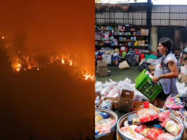 Incendios forestales: habilitan centros de acopio en el Gran Concepción para apoyar a damnificados