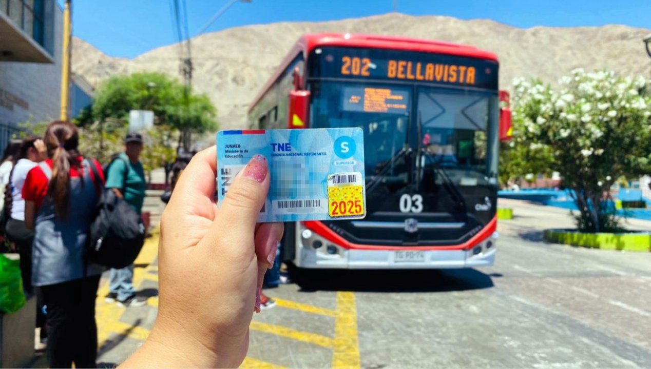 /aumentan-los-tramites-por-la-tne-en-la-region